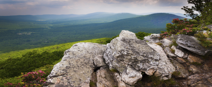 The beautiful Shenandoah Valley located just miles from Winchester and SOURCETECH's office.